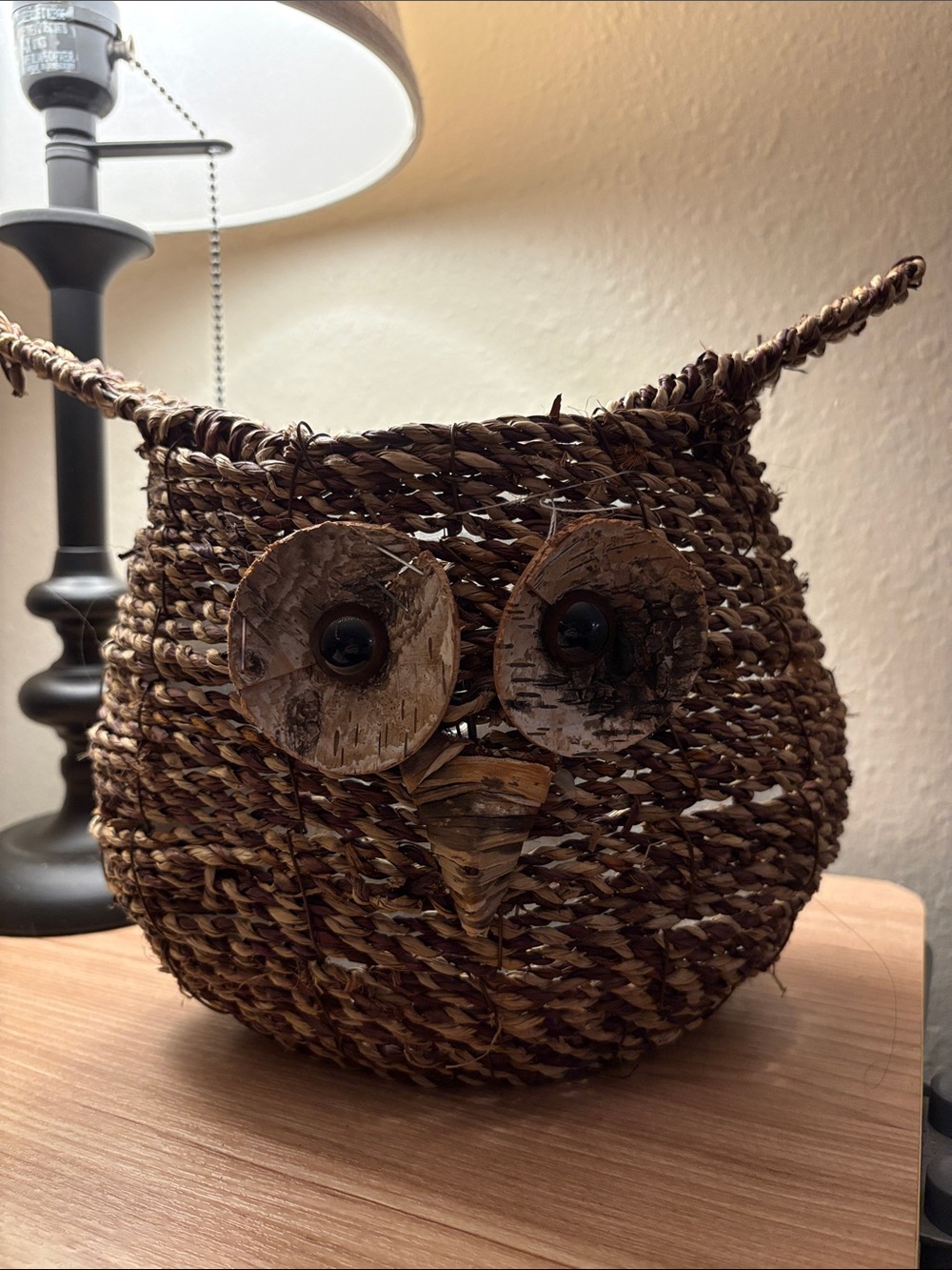 Woven owl planter